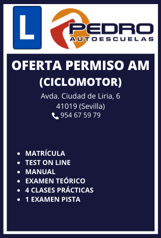 Ofertas 4 Autoescuelas en Sevilla fef3 Autoescuela en Sevilla Pedro