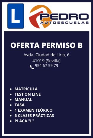 Ofertas 5 Autoescuelas en Sevilla fef4 Autoescuela en Sevilla Pedro